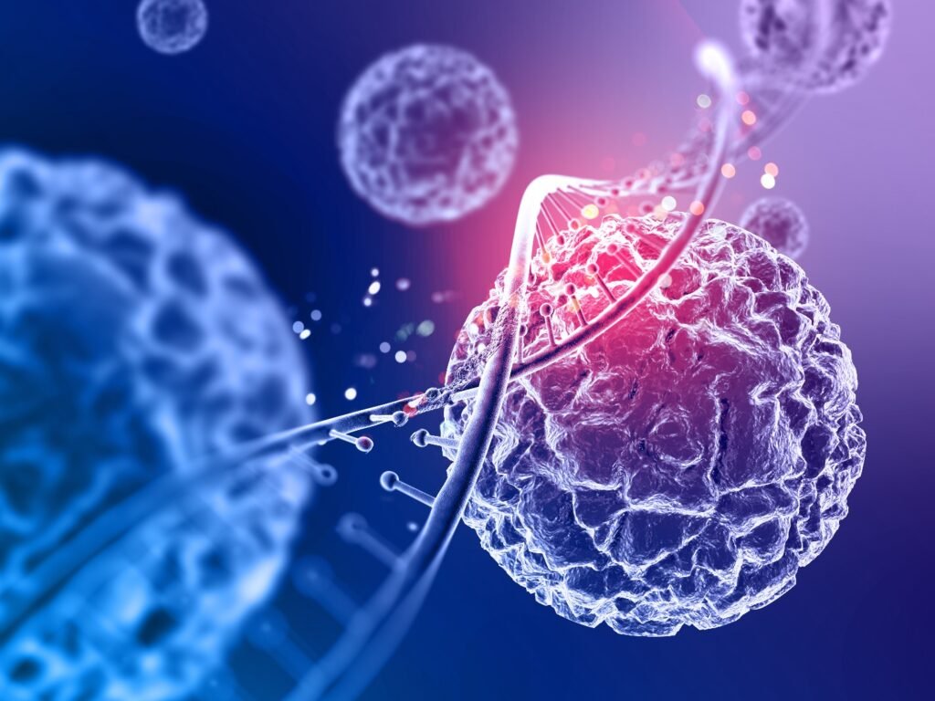 mitochondria