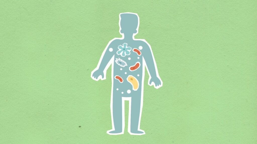Gut Health