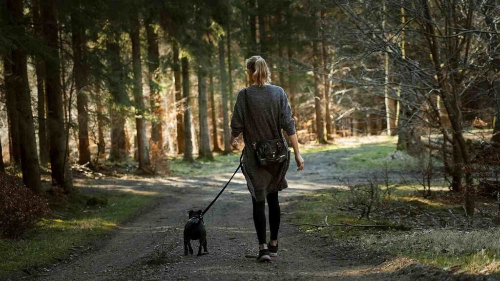 walking after meals