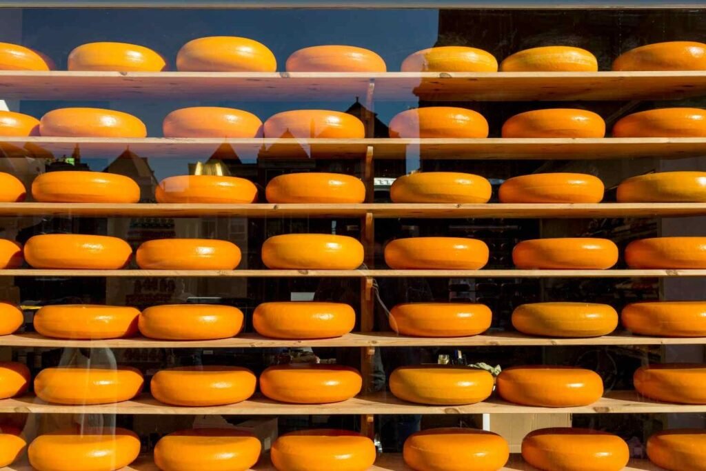 Cheese